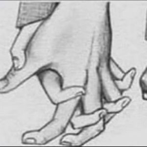 Meet your Posher, Priscilla